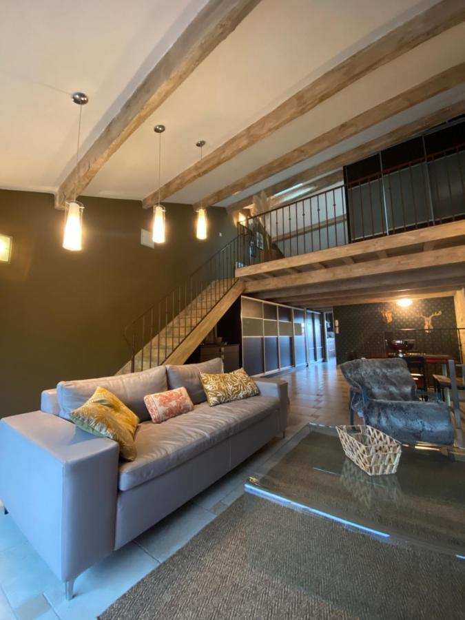 Le Loft Duplex, 2 Terrasses, Au Coeur Du Village Saint-Rémy-de-Provence Buitenkant foto